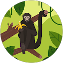 M Yadav profile picture